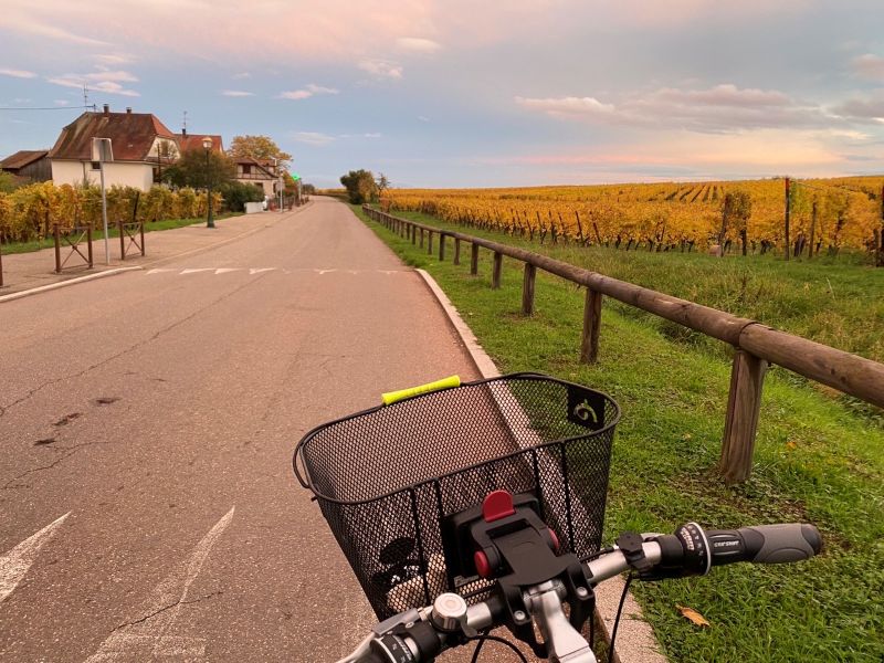 著者が2020年に暮らしたアルザスにて　ワイン街道沿いの葡萄畑のそばで撮影した一枚　週末の土曜日には、このような田舎道の脇で、黄色いベスト運動を少人数で続ける住民の姿を目にすることもあった