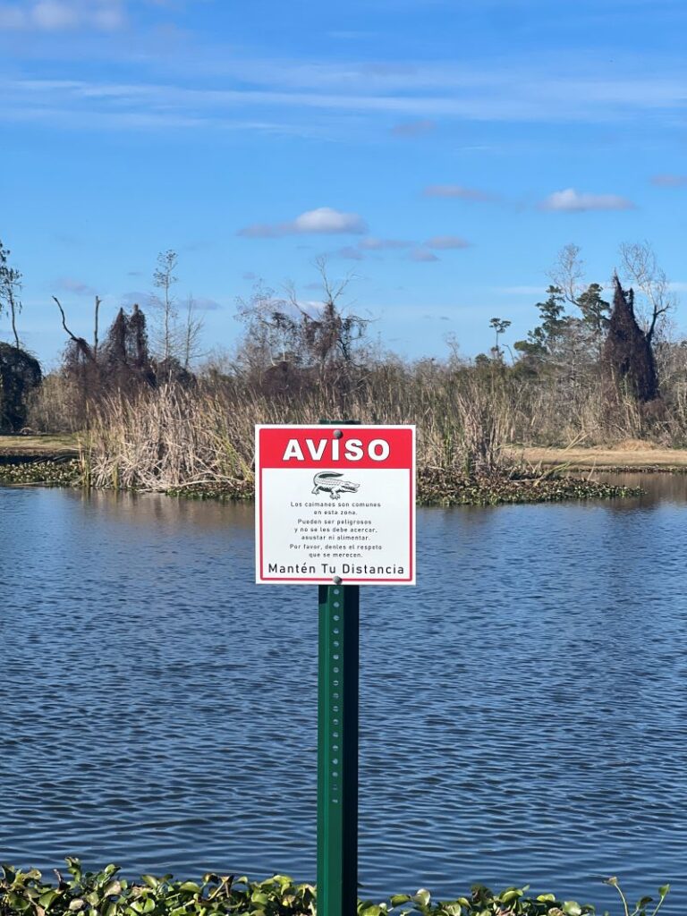 写真４　ニューオリンズの国立公園にある湿地帯。“ワニ出没注意”の看板はスペイン語で書かれていた。（撮影：小森真樹）