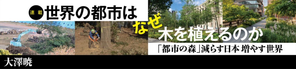 世界の都市はなぜ木を植えるのか～「都市の森」減らす日本 増やす世界～